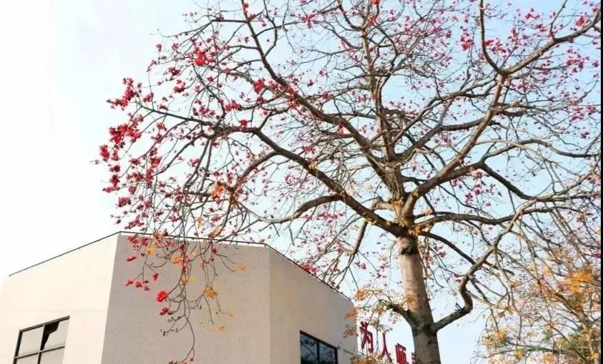 澳门太阳成集团tyc33455cc